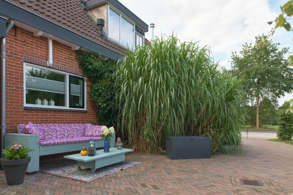Nijtap 67